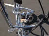 Lovely Lowrider Spinner