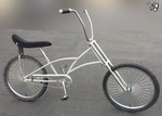 Raw Chopper
