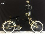 Lovely Lowrider Cruz