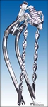 20" Bent Springer Fork - CCT