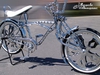 Lowrider Chainguard 3x Twist