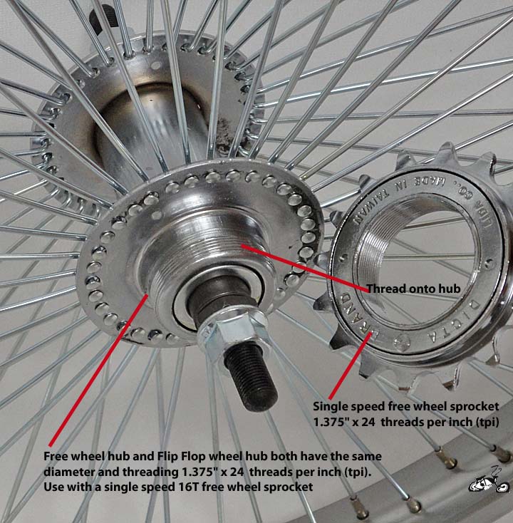 bicycle freewheel sizes