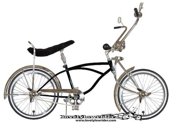 100_lowrider_bike