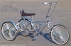 Lowrider Trike frame to frame plate